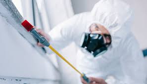 Best Real Estate Pest Inspections  in Antelope, CA